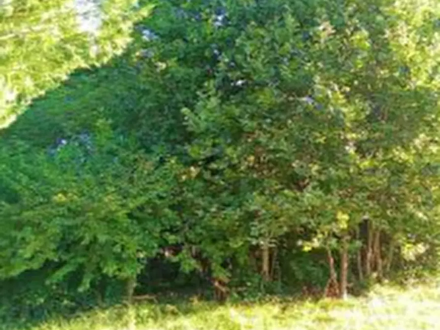 Immagine 3 di Garage in vendita  in Via Nazario Sauro a Fiume Veneto