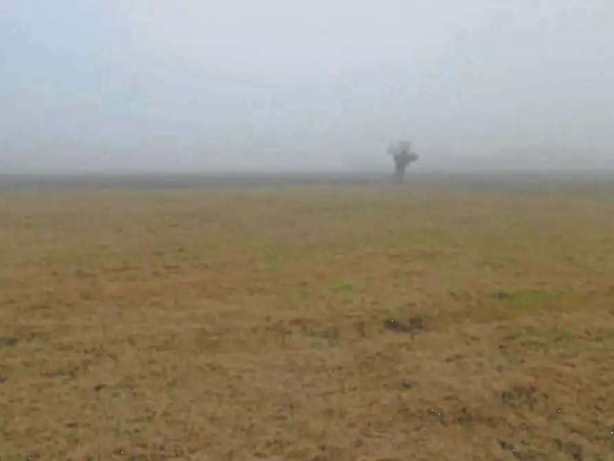 Immagine 8 di Negozio in vendita  in Via Facciabella a Casaleone