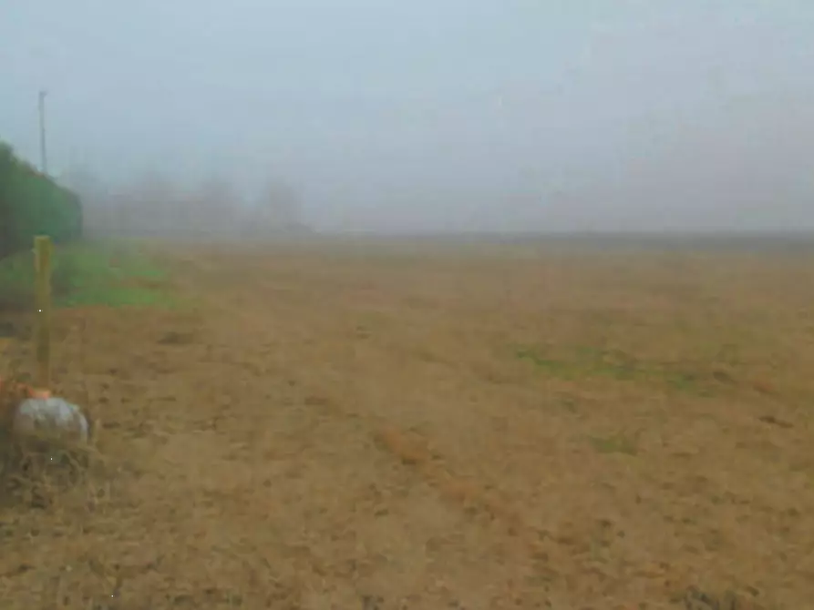 Immagine 9 di Negozio in vendita  in Via Facciabella a Casaleone