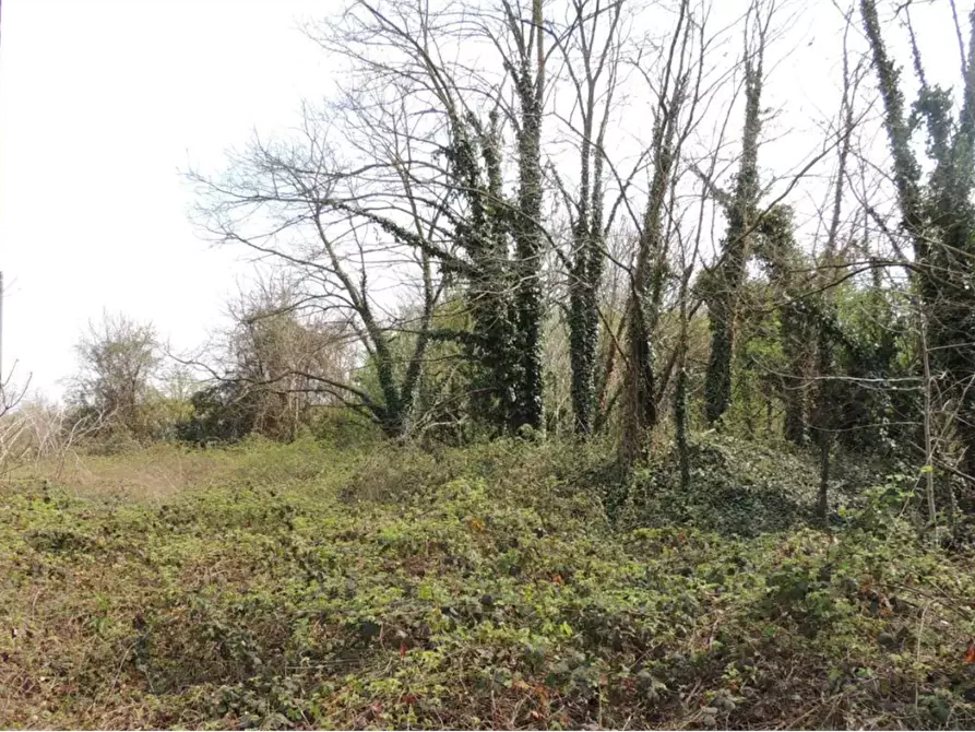 Immagine 5 di Terreno edificabile in vendita  in Via F.M. visconti a Abbiategrasso