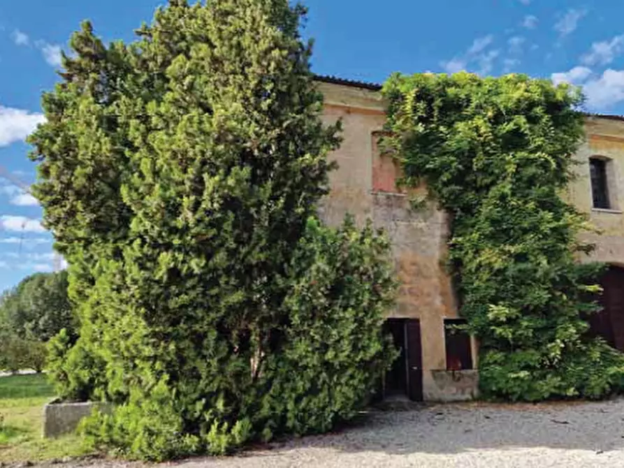 Immagine 13 di Villa in vendita  in Corso Giuseppe Mazzini a Montebelluna