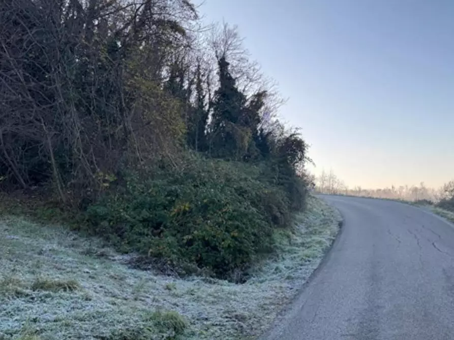 Immagine 1 di Terreno agricolo in vendita  in Via Tommasetto a Gambugliano