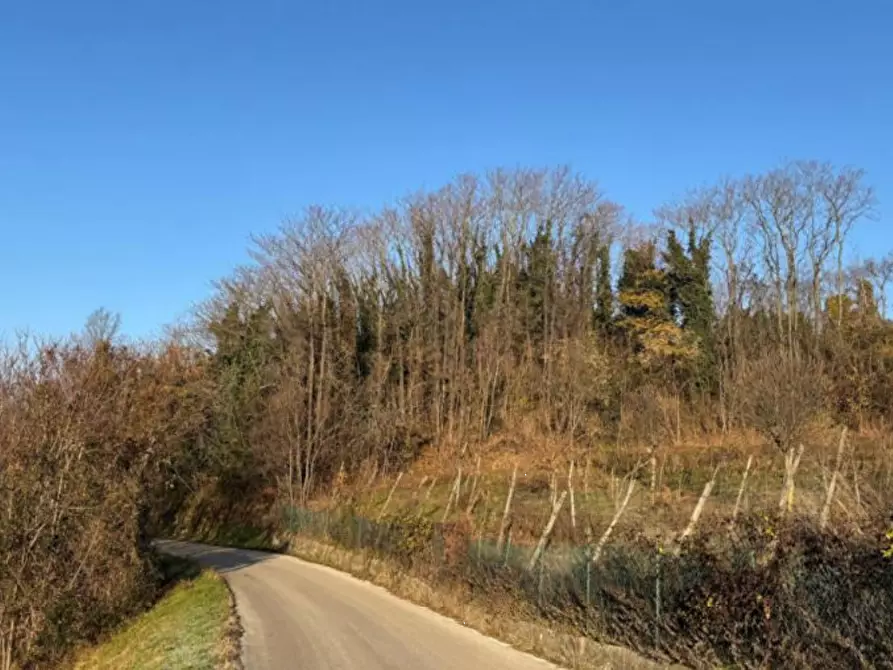 Immagine 2 di Terreno agricolo in vendita  in Via Tommasetto a Gambugliano