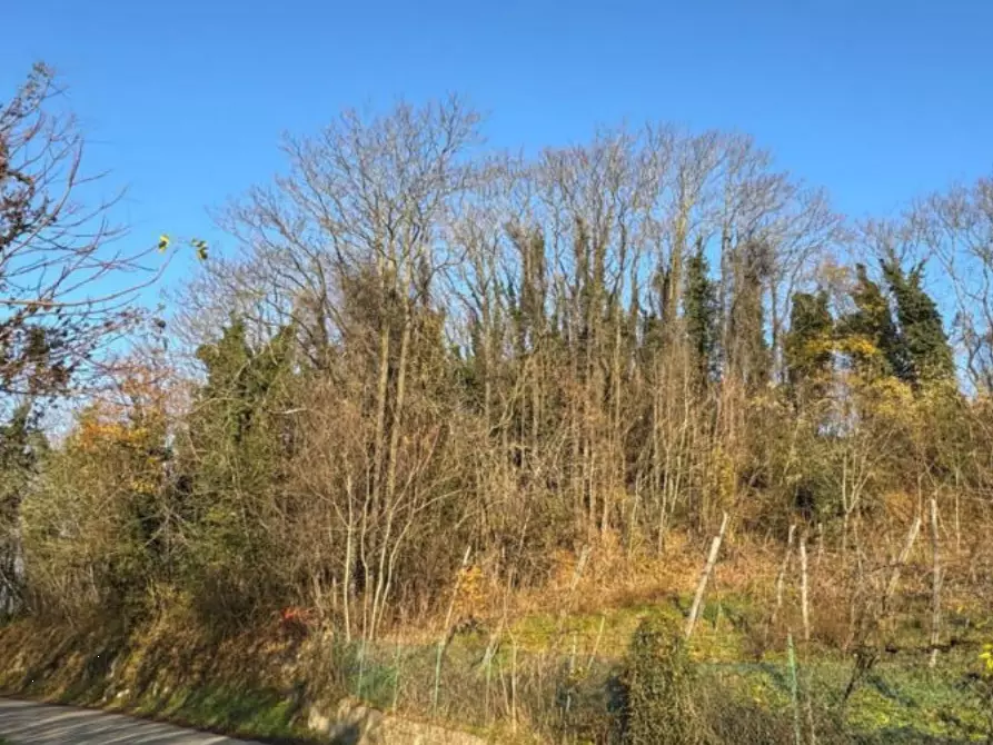 Immagine 3 di Terreno agricolo in vendita  in Via Tommasetto a Gambugliano