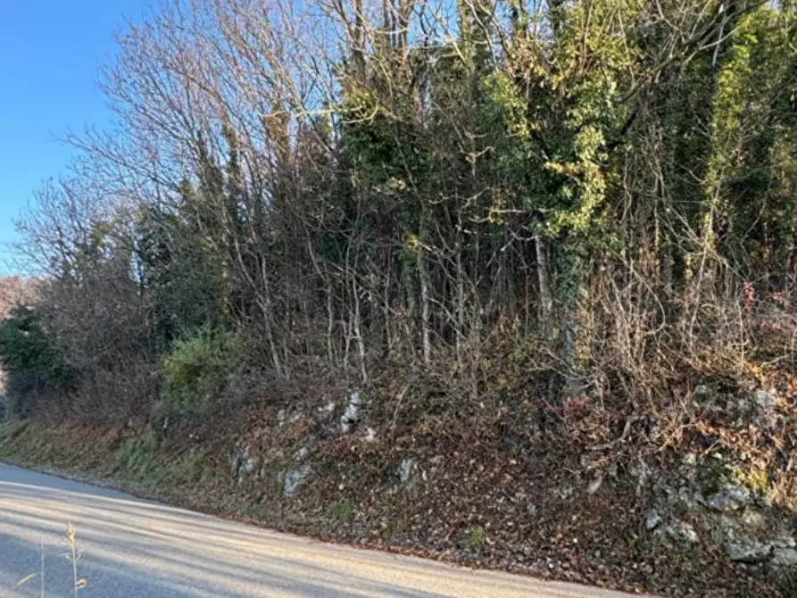 Immagine 4 di Terreno agricolo in vendita  in Via Tommasetto a Gambugliano