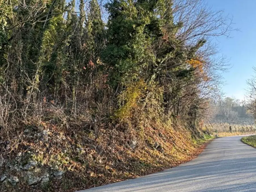 Immagine 5 di Terreno agricolo in vendita  in Via Tommasetto a Gambugliano