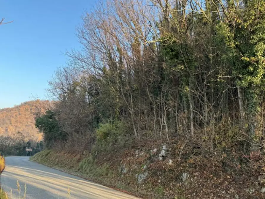 Immagine 6 di Terreno agricolo in vendita  in Via Tommasetto a Gambugliano