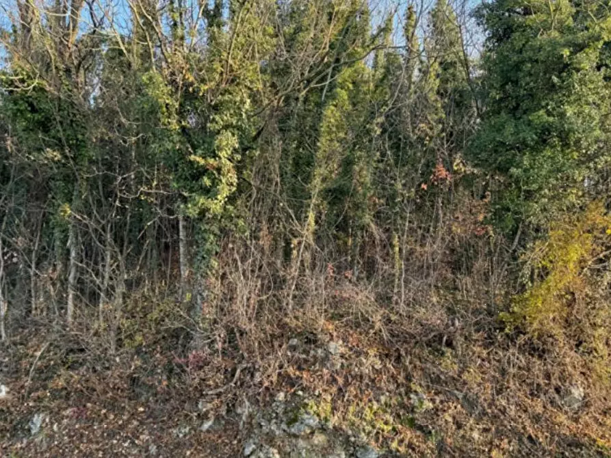 Immagine 7 di Terreno agricolo in vendita  in Via Tommasetto a Gambugliano