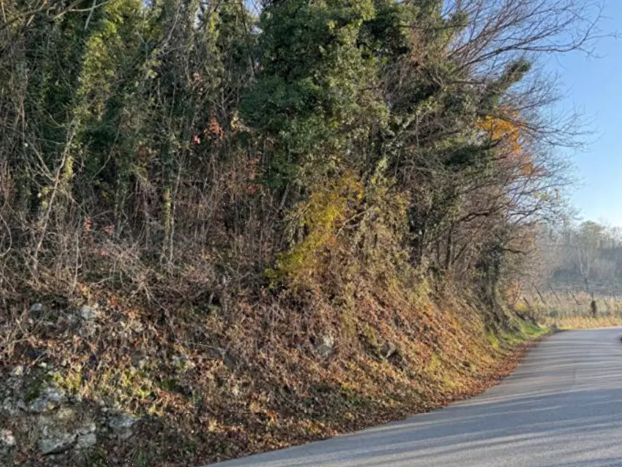 Immagine 8 di Terreno agricolo in vendita  in Via Tommasetto a Gambugliano