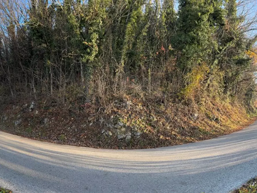 Immagine 9 di Terreno agricolo in vendita  in Via Tommasetto a Gambugliano