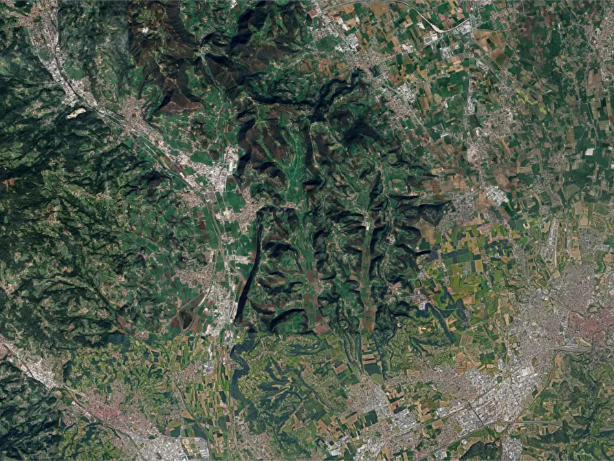 Immagine 19 di Terreno agricolo in vendita  in Via Tommasetto a Gambugliano