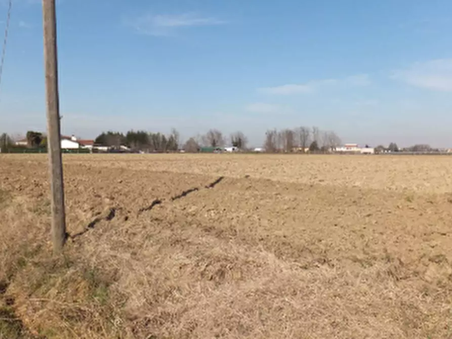 Immagine 5 di Porzione di casa in vendita  in Via Bisson a Conselve