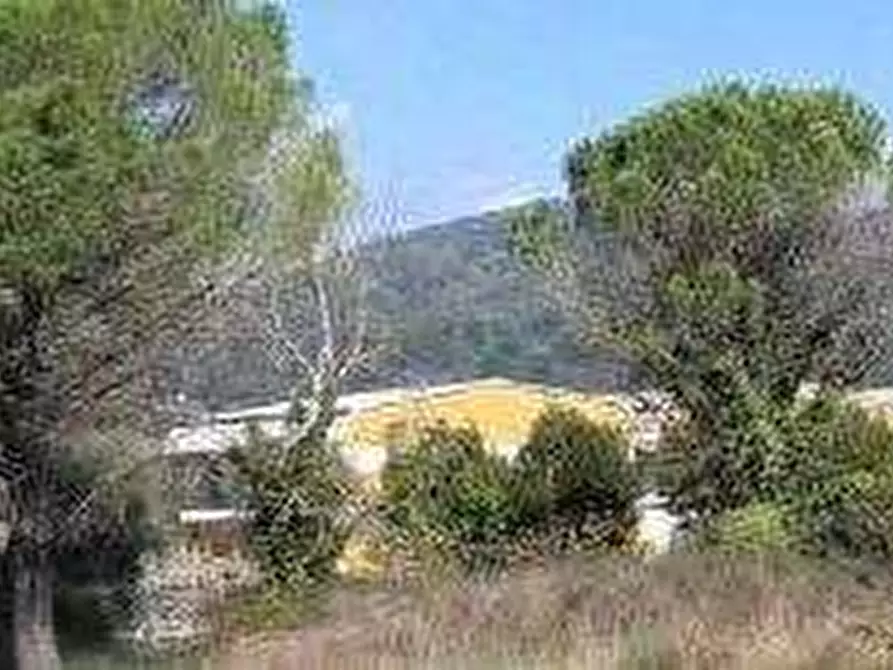 Immagine 2 di Terreno agricolo in vendita  in Via dei Vicinale dei Gobbi a Monsummano Terme