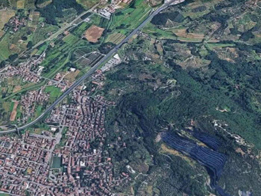 Immagine 10 di Terreno agricolo in vendita  in Via dei Vicinale dei Gobbi a Monsummano Terme