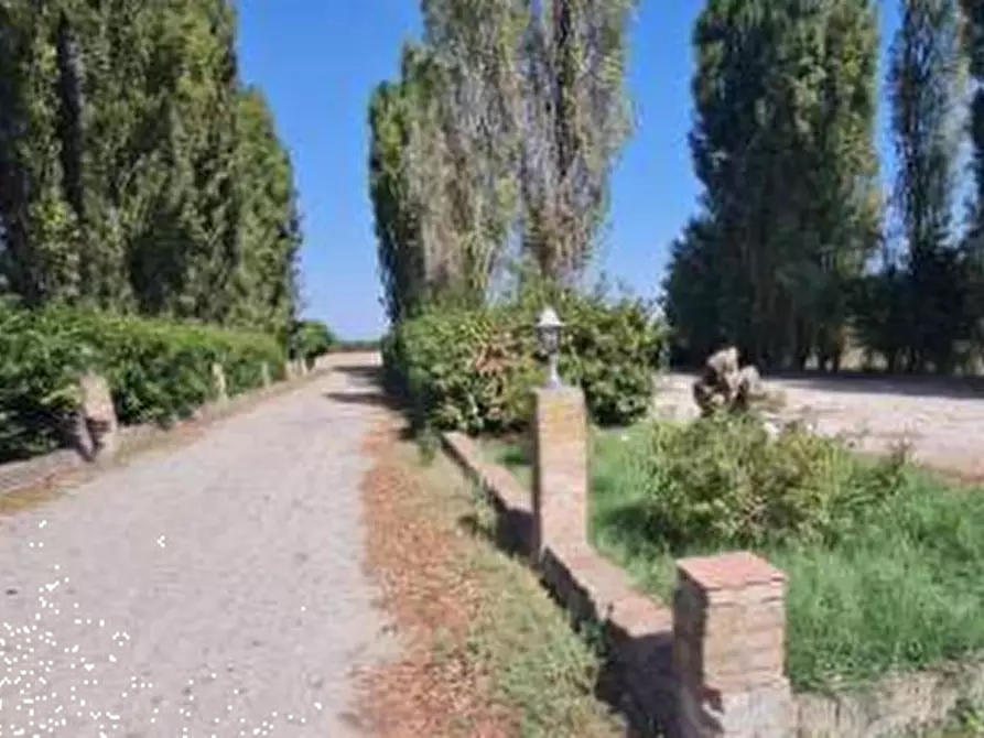 Immagine 3 di Stabile in vendita  in Via Mino  a Minerbio