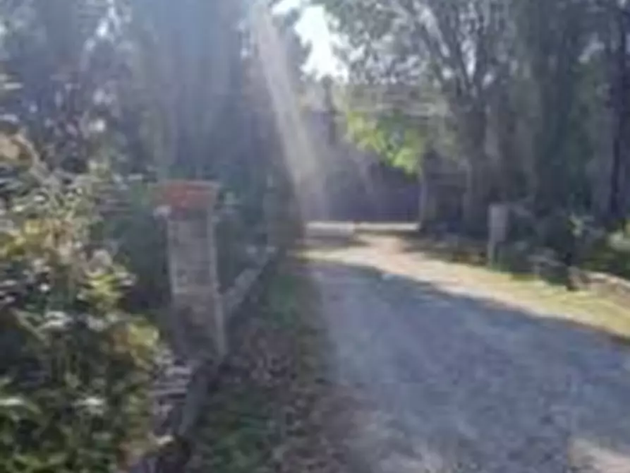 Immagine 4 di Stabile in vendita  in Via Mino  a Minerbio