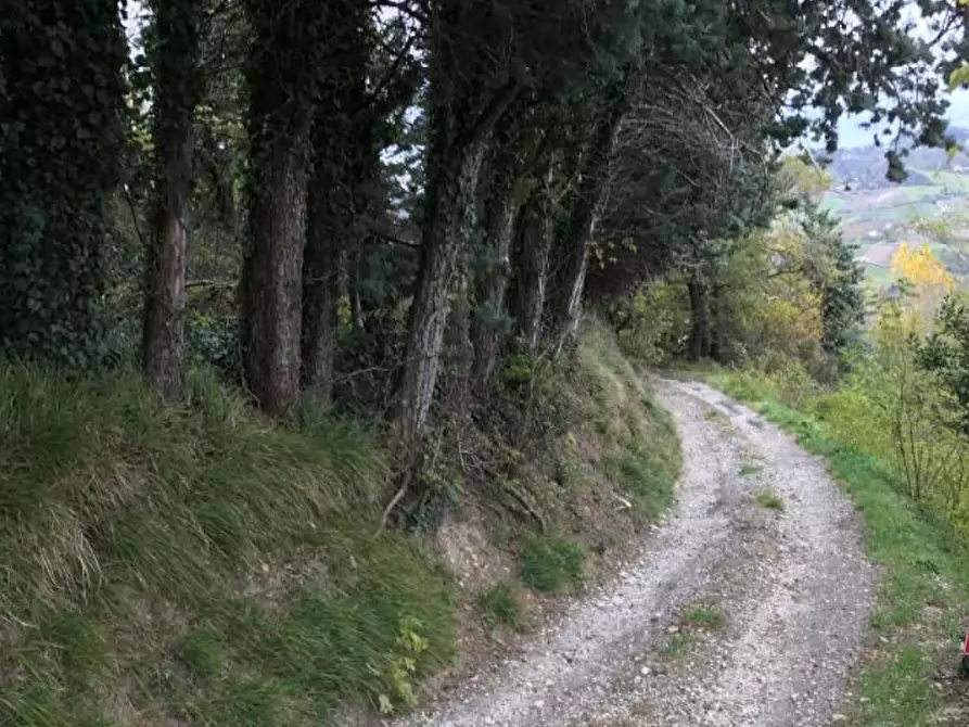 Immagine 4 di Casa indipendente in vendita  in Località la Serra a Monzuno