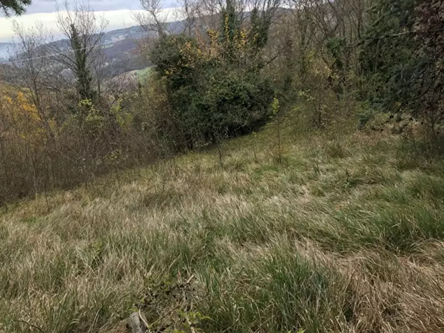 Immagine 5 di Casa indipendente in vendita  in Località la Serra a Monzuno