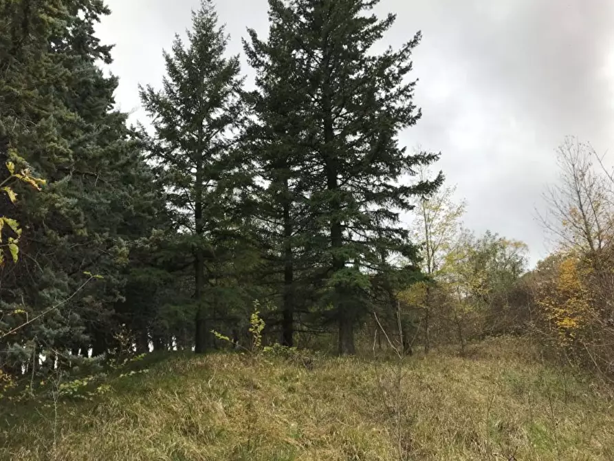 Immagine 11 di Casa indipendente in vendita  in Località la Serra a Monzuno