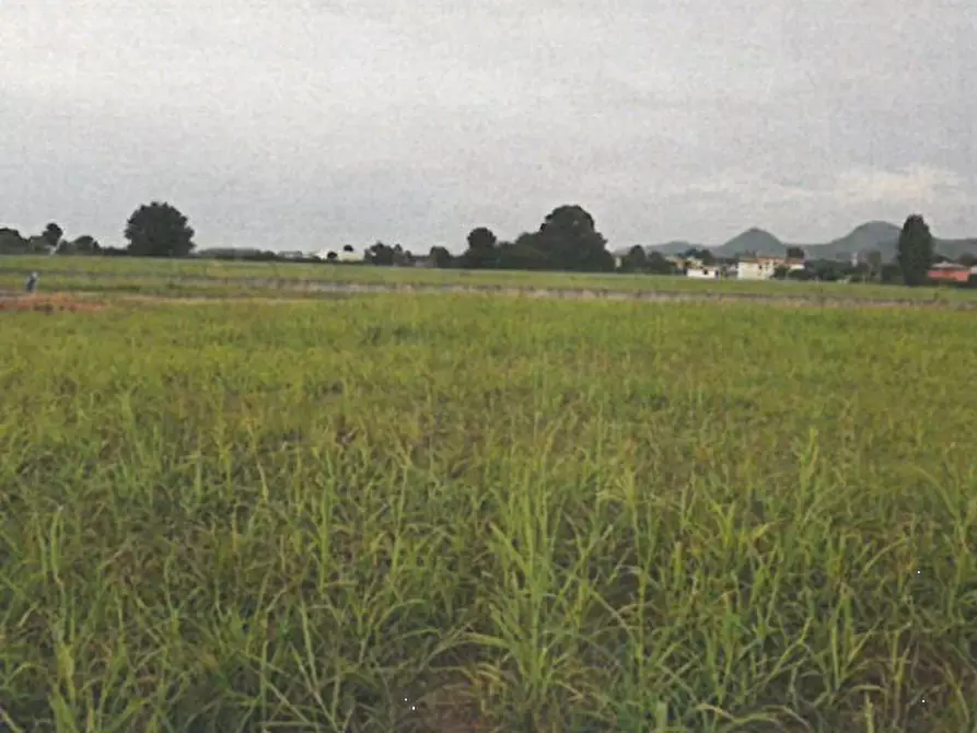 Immagine 1 di Terreno agricolo in vendita  in Via Cà Oddo a Monselice