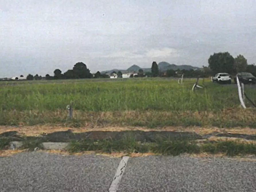 Immagine 3 di Terreno agricolo in vendita  in Via Cà Oddo a Monselice