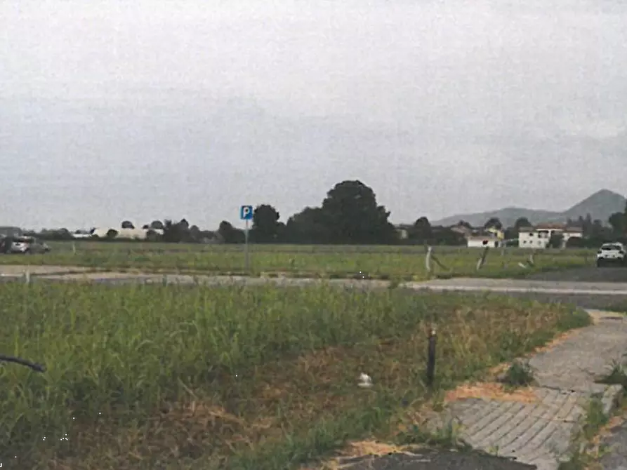 Immagine 8 di Terreno agricolo in vendita  in Via Cà Oddo a Monselice