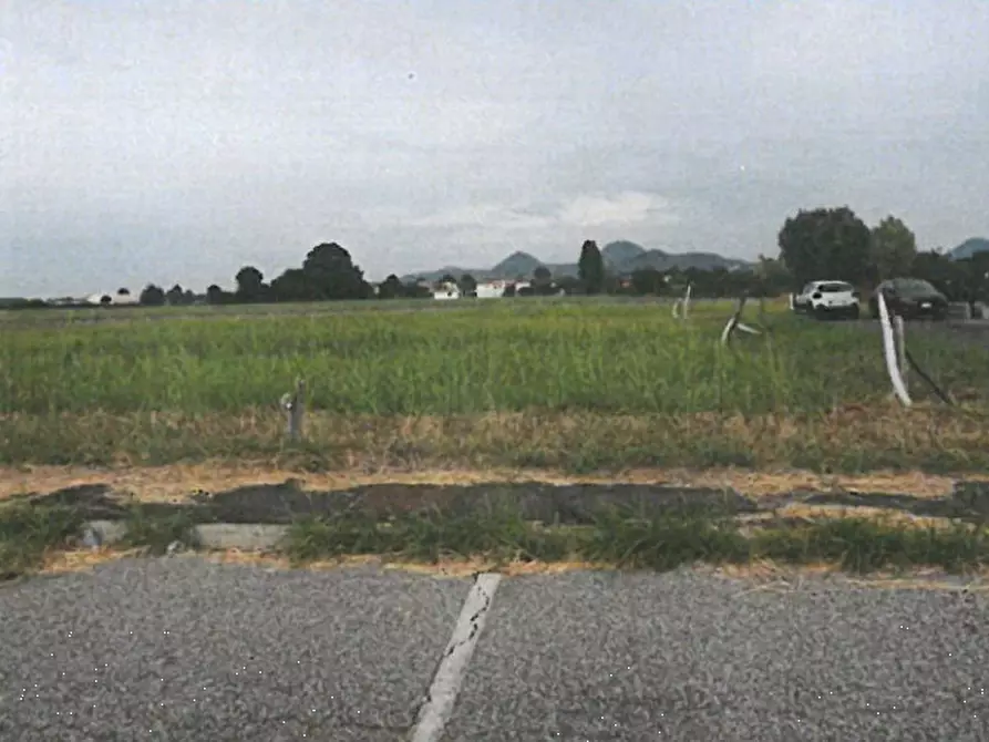 Immagine 6 di Terreno edificabile in vendita  in Via Cà Oddo a Monselice