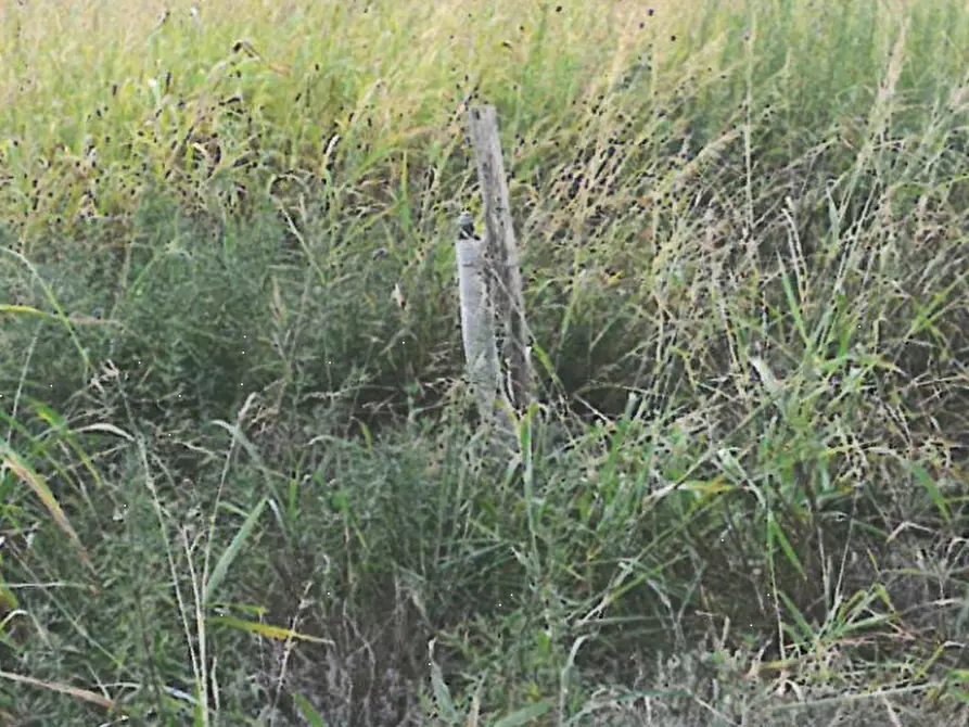 Immagine 10 di Terreno edificabile in vendita  in Via Cà Oddo a Monselice
