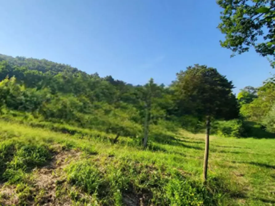 Immagine 6 di Terreno agricolo in vendita  in via Regazzoni Bassa a Montegrotto Terme