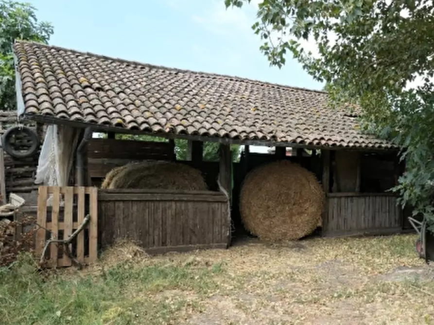 Immagine 14 di Azienda agricola in vendita  in via Sarasina a San Giovanni In Persiceto