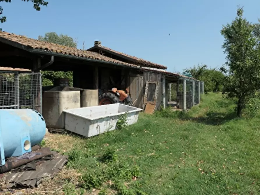 Immagine 16 di Azienda agricola in vendita  in via Sarasina a San Giovanni In Persiceto