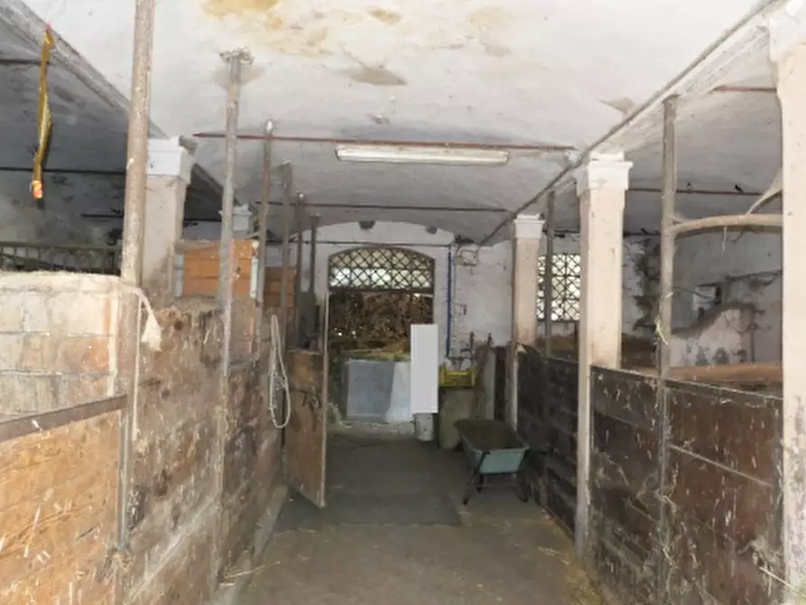 Immagine 20 di Azienda agricola in vendita  in via Sarasina a San Giovanni In Persiceto