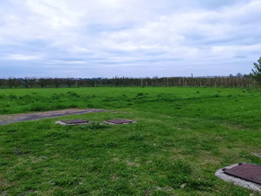 Immagine 2 di Terreno agricolo in vendita  in Frazione Marmorta a Molinella