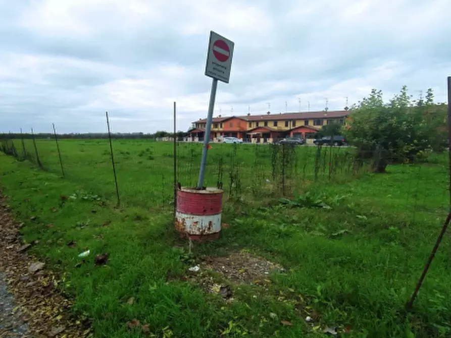 Immagine 3 di Terreno agricolo in vendita  in Frazione Marmorta a Molinella