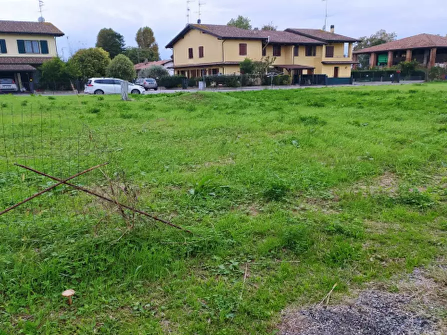 Immagine 4 di Terreno agricolo in vendita  in Frazione Marmorta a Molinella
