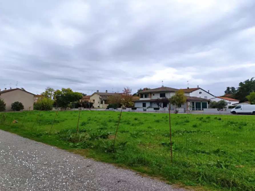 Immagine 5 di Terreno agricolo in vendita  in Frazione Marmorta a Molinella
