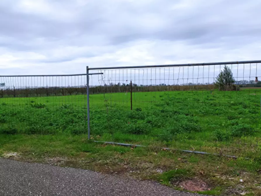 Immagine 6 di Terreno agricolo in vendita  in Frazione Marmorta a Molinella