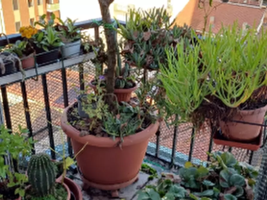 Immagine 7 di Appartamento in vendita  in Via Buniva a None