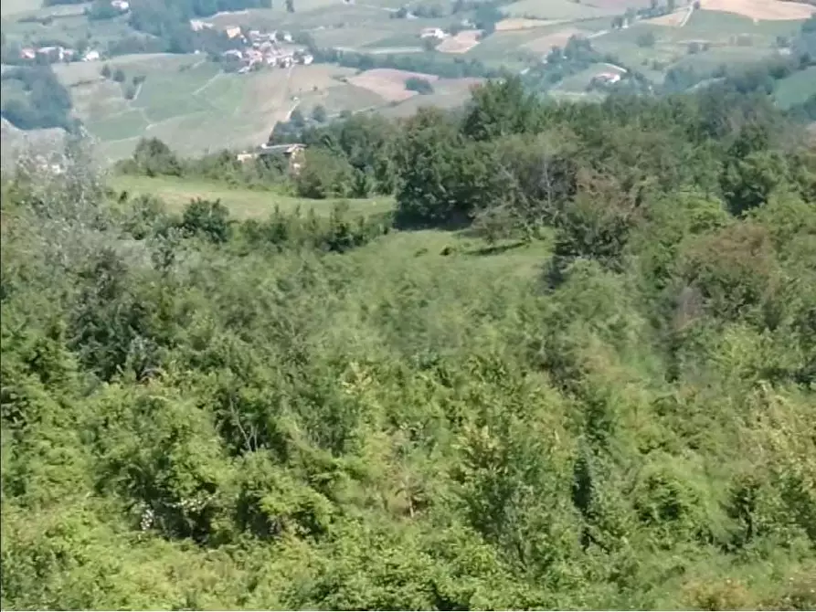 Immagine 1 di Terreno agricolo in vendita  in Località Case Varesi a Pianello Val Tidone