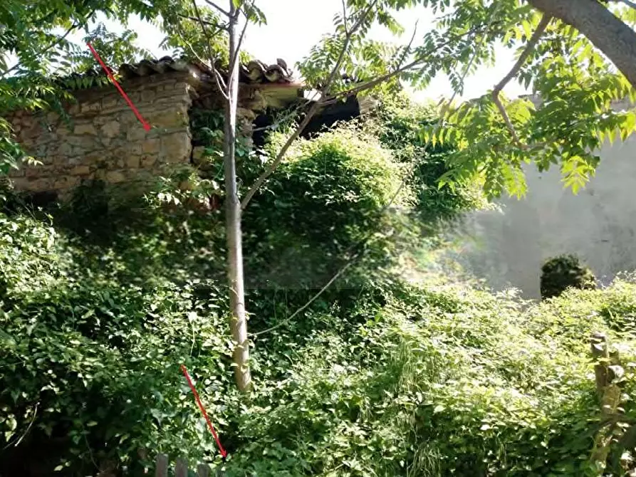 Immagine 3 di Terreno agricolo in vendita  in Località Case Varesi a Pianello Val Tidone
