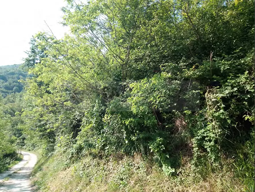 Immagine 5 di Terreno agricolo in vendita  in Località Case Varesi a Pianello Val Tidone