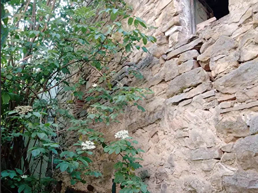 Immagine 9 di Terreno agricolo in vendita  in Località Case Varesi a Pianello Val Tidone