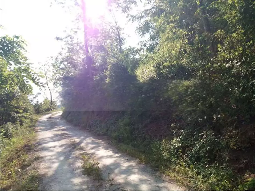 Immagine 10 di Terreno agricolo in vendita  in Località Case Varesi a Pianello Val Tidone