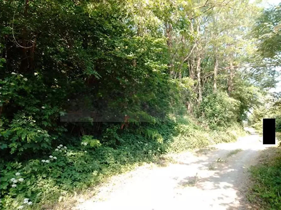 Immagine 11 di Terreno agricolo in vendita  in Località Case Varesi a Pianello Val Tidone