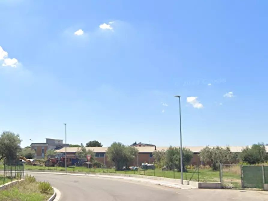 Immagine 8 di Terreno agricolo in vendita  in Via Santa Maria Le Quinte a Montecompatri