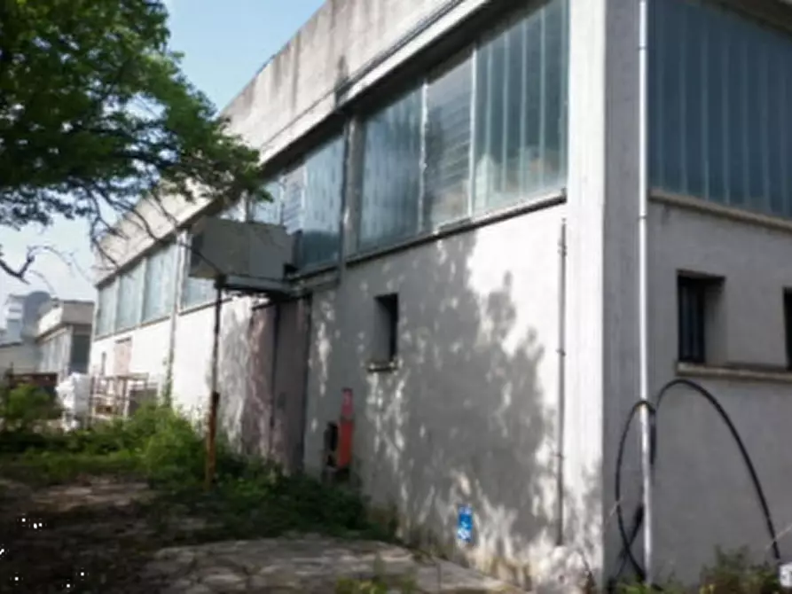 Immagine 3 di Capannone industriale in vendita  in Via Brigata Garibaldi a Pesaro