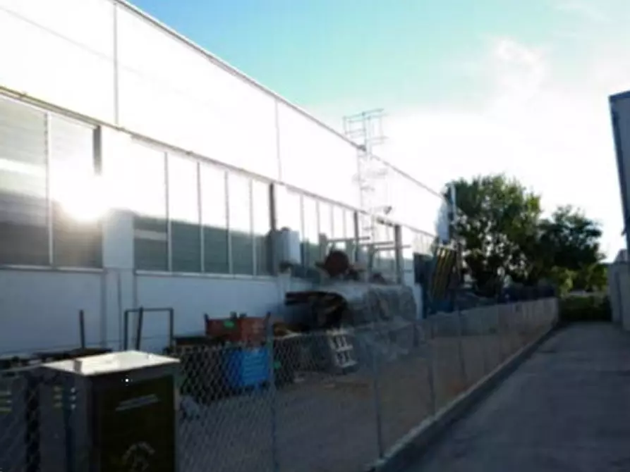 Immagine 3 di Capannone industriale in vendita  in Via Divisione Tridentina a Pesaro