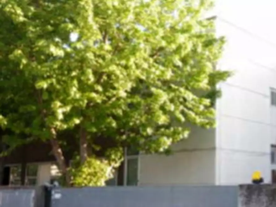 Immagine 2 di Capannone industriale in vendita  in Via Divisione Tridentina a Pesaro