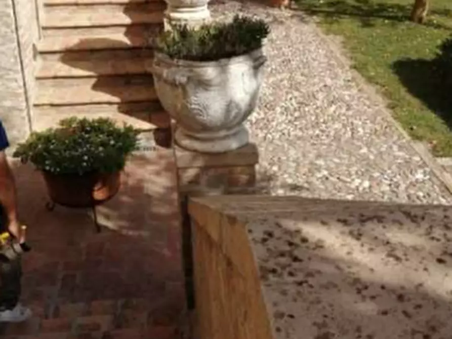 Immagine 5 di Appartamento in vendita  in Via Petrosa a Ravenna