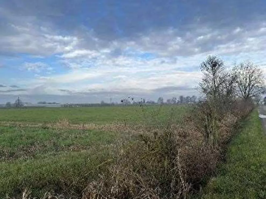 Immagine 1 di Terreno agricolo in vendita  in Via Boscarello a Quistello